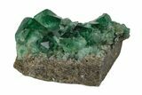 Fluorescent Green Fluorite Cluster - Rogerley Mine, England #173999-2